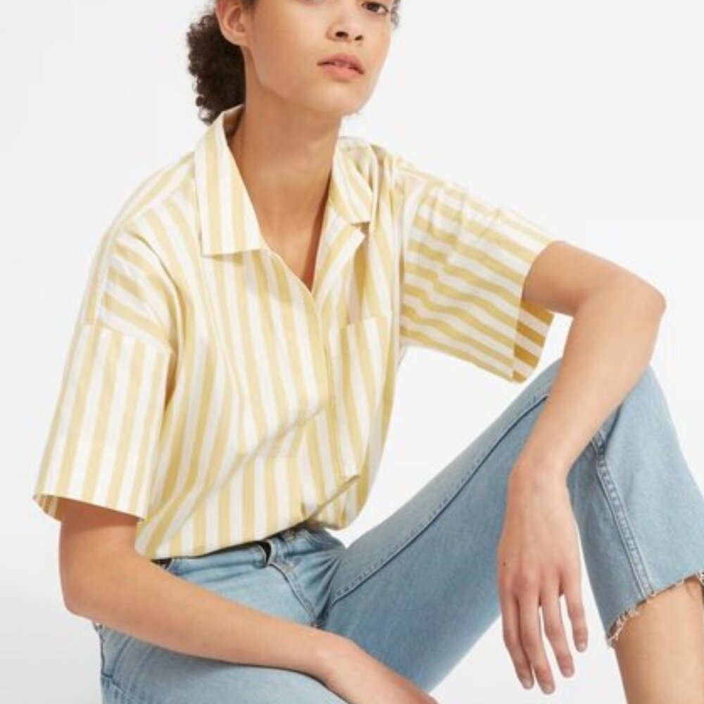 Oversized cropped Everlane popover
